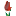hollandbulbfarms.com icon