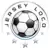 jerseyloco.com icon