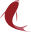 koisea.com icon