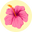 kulanikinis.com icon
