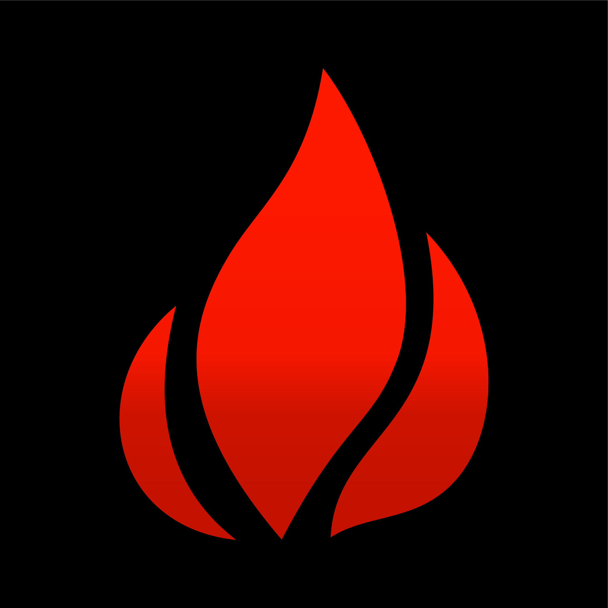 lighterusa.com icon