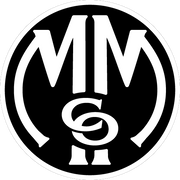manlymanco.com icon