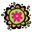 naturallife.com icon
