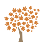 northwestpharmacy.com icon