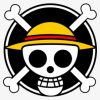 onepiece.store icon