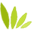 optnation.com icon