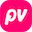paidviewpoint.com icon