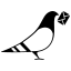paperlesspost.com icon