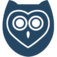papersowl.com icon