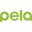 pelacase.com icon