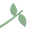 piperandivy.com icon