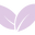 pipitea.com icon