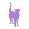 purebredkitties.com icon