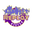 replaytoys.com icon