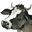 santacruzpaleo.com icon