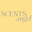 scentsangel.com icon