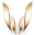 skyrimwrist.com icon