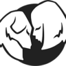 spiritdogtraining.com icon