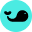 splashsports.com icon