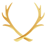 stagheaddesigns.com icon