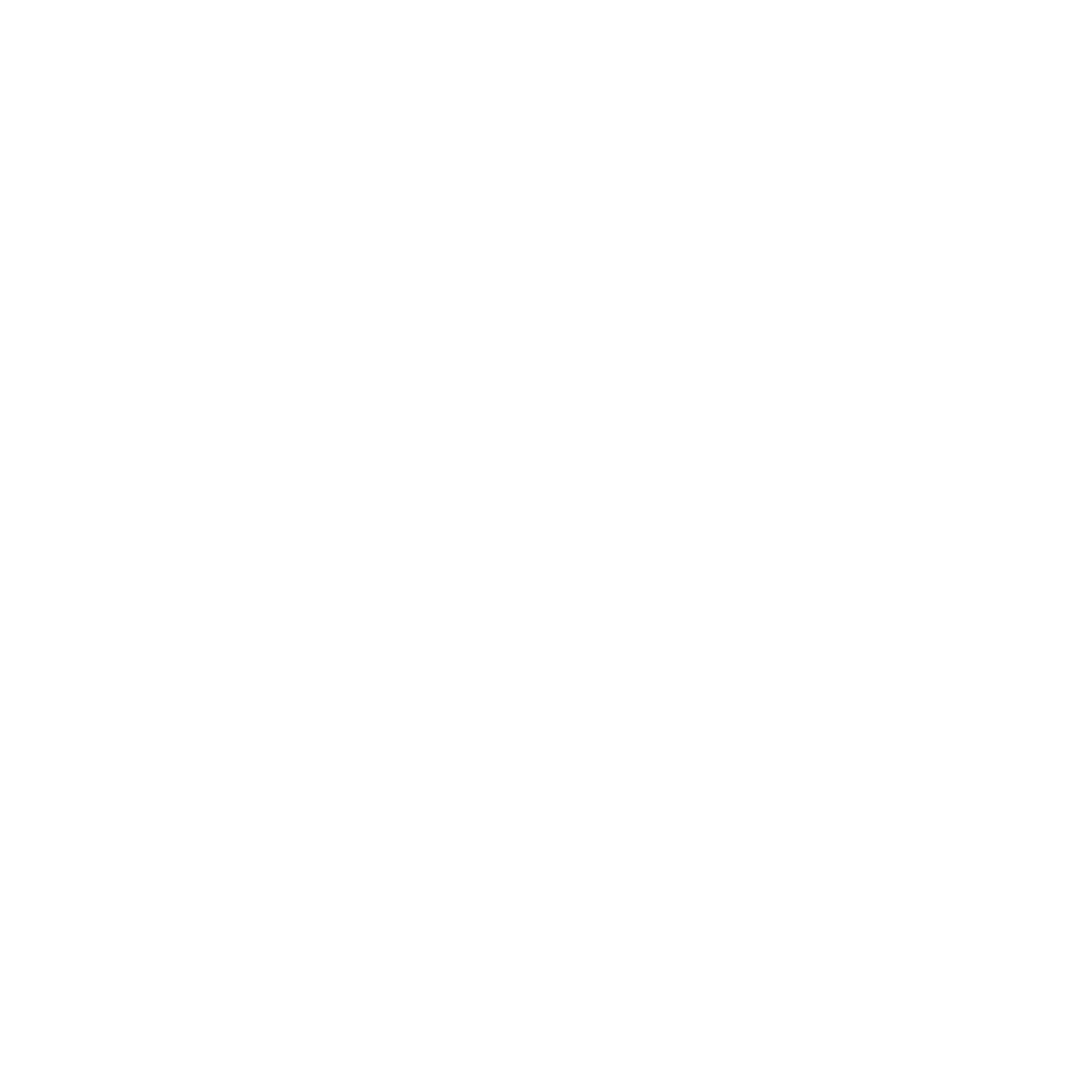 stanced.co icon