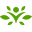 swansonvitamins.com icon