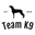 teamk9.com icon