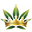 thcaking.com icon