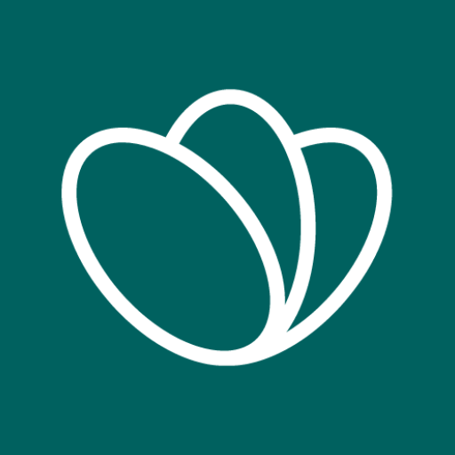 toogoodtogo.com icon