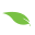 trulyfreehome.com icon
