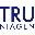 truniagen.com icon