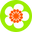 ujichamatcha.com icon