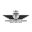 veteransbenefitsevaluations.com icon