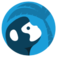 wallstreetoasis.com icon