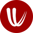 windy.com icon