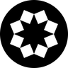 ziina.com icon